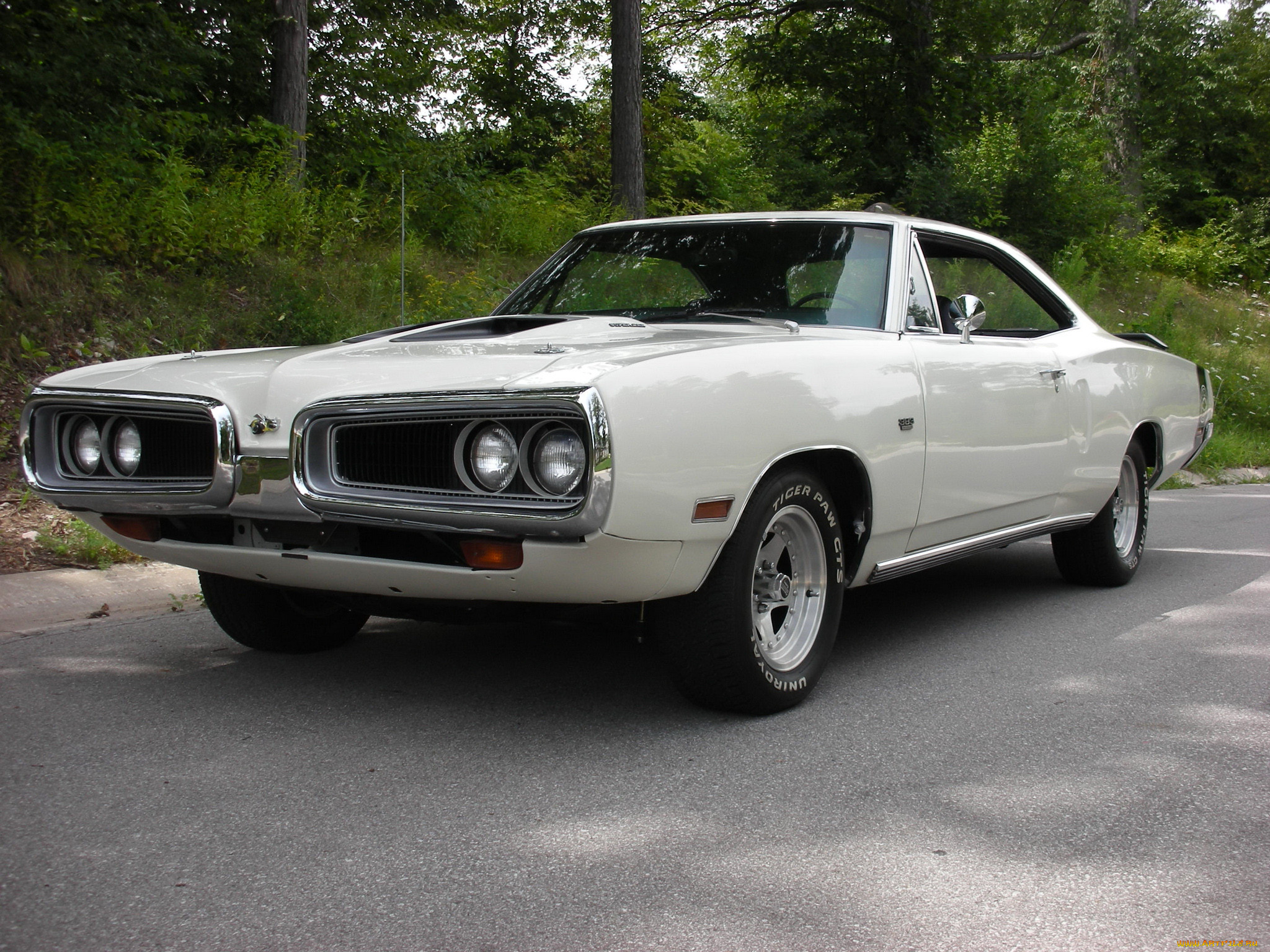 , dodge
